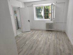Teiul Doamnei nr 108, Parcul Tei, Facultatea Constructii, stradal