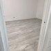 Teiul Doamnei nr 108, Parcul Tei, Facultatea Constructii, stradal